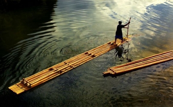 Hạnh phúc hướng thượng 